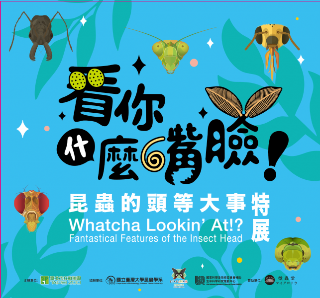 「看你什麼嘴臉！」昆蟲的頭等大事，揭開昆蟲小腦袋的大秘密！